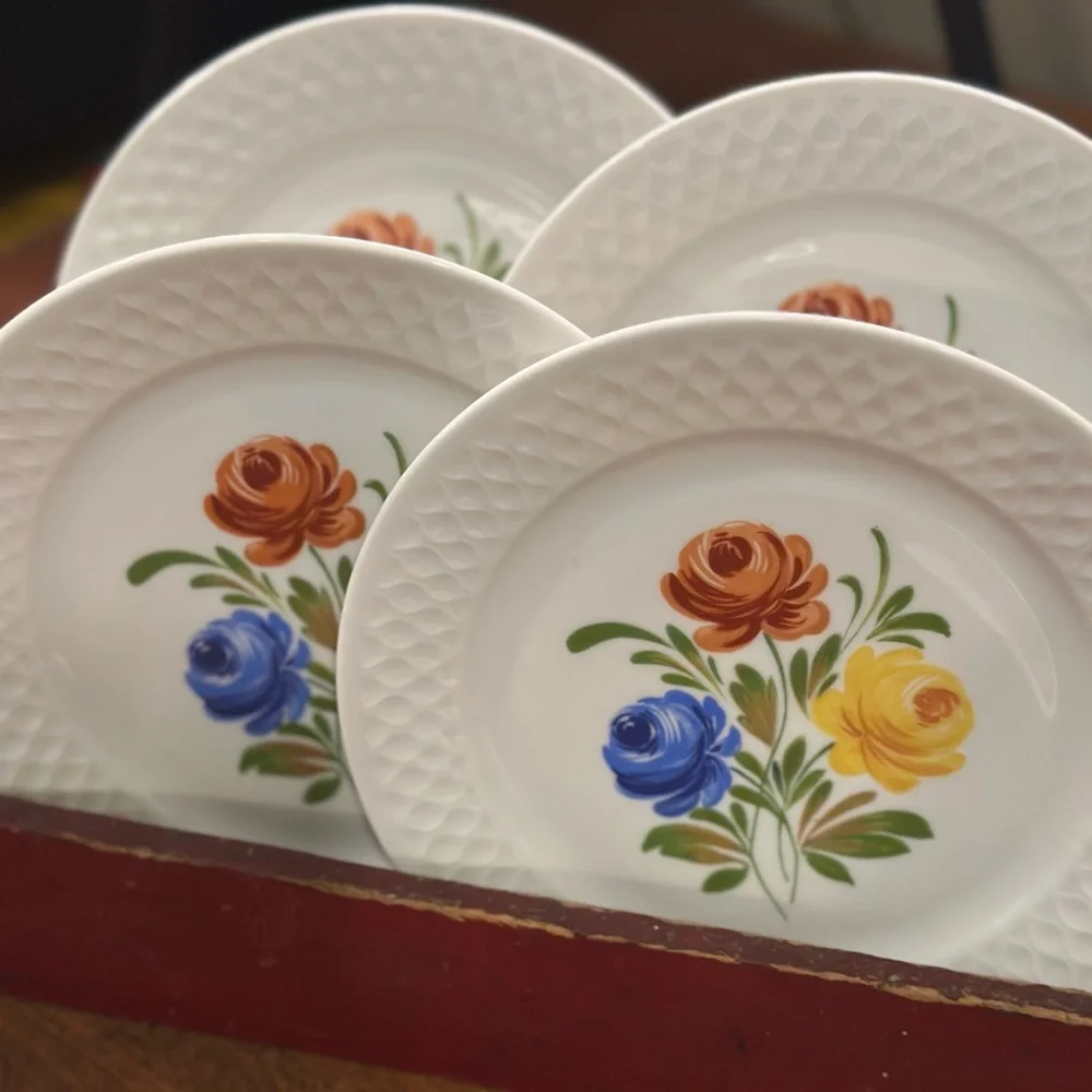 Set of 4 Schirnding Bavaria Hand Painted Floral Porcelain Plates